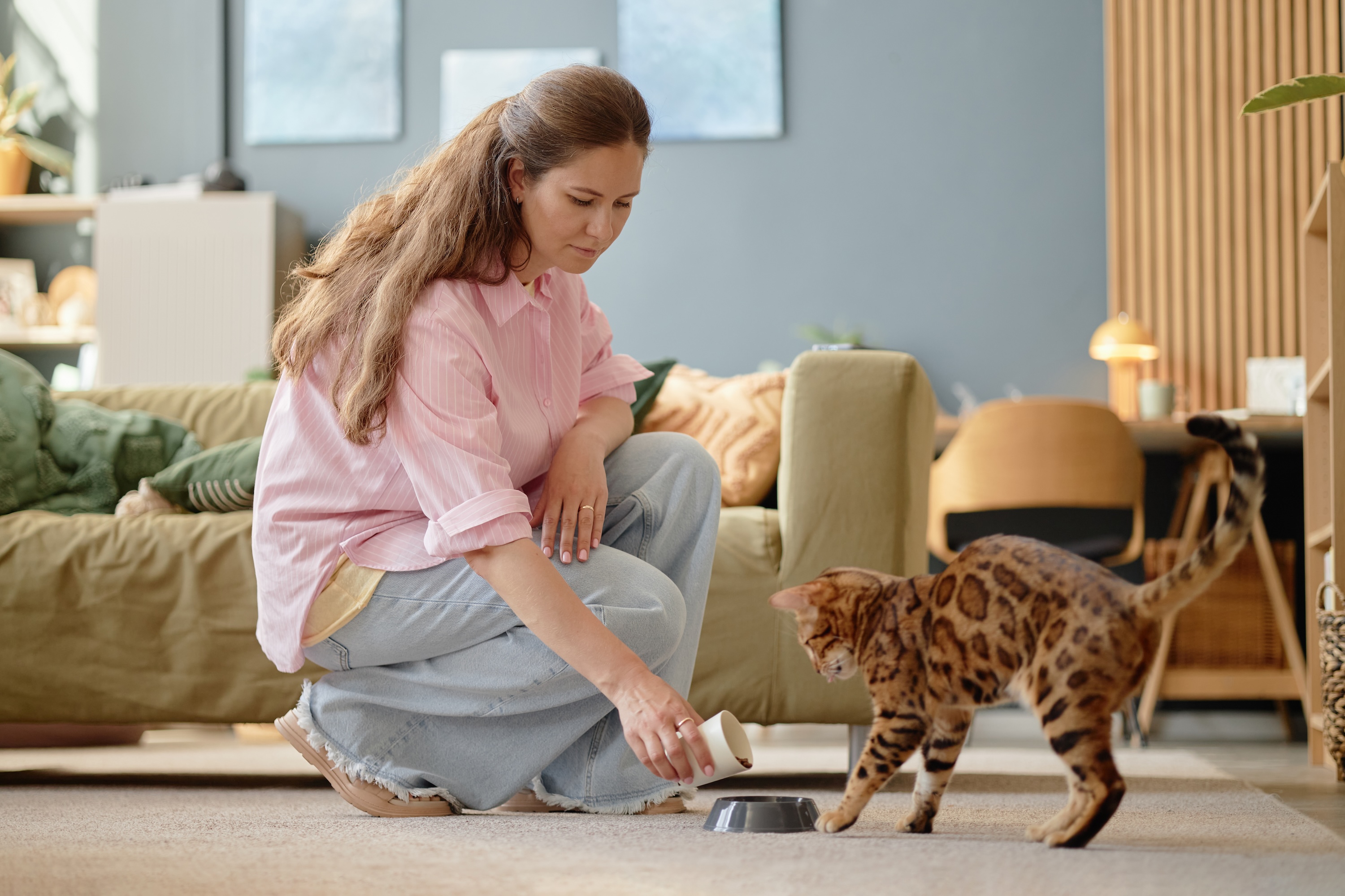 Young adult woman feeding cat