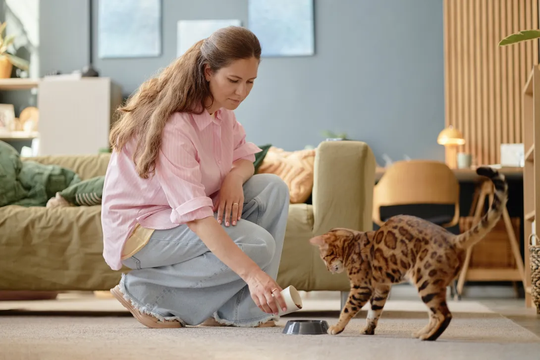 Young adult woman feeding cat